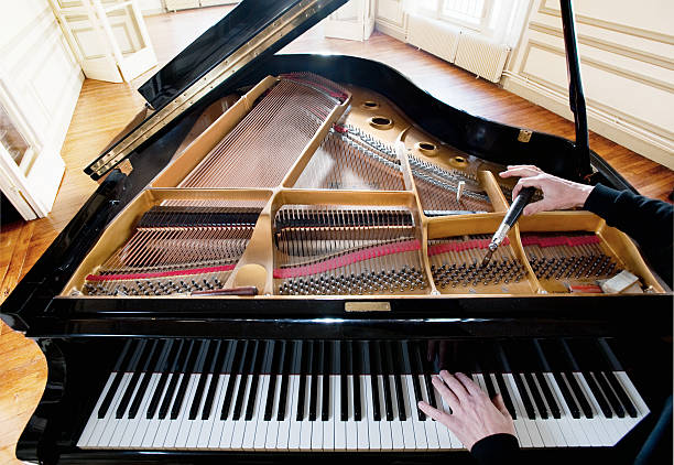 piano tuner sydney inner west